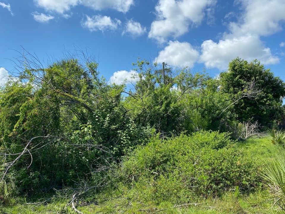 Recently Sold: $7,700 (0.20 acres)