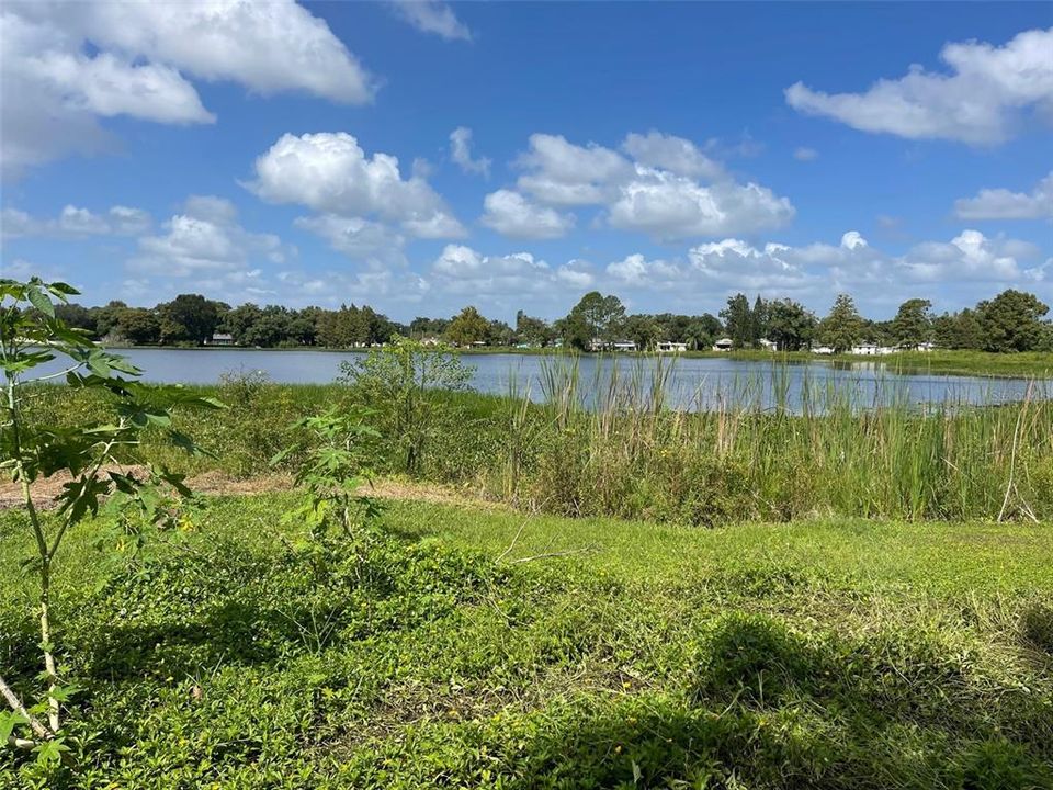 Lakeview of Little Lake Barton from Lot 24. Note That this Lot is not direct Lake Access but has unobstructed views of the Lake..