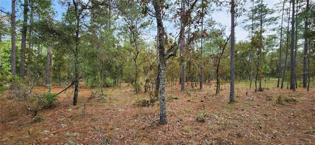 Vendido Recientemente: $36,000 (1.16 acres)