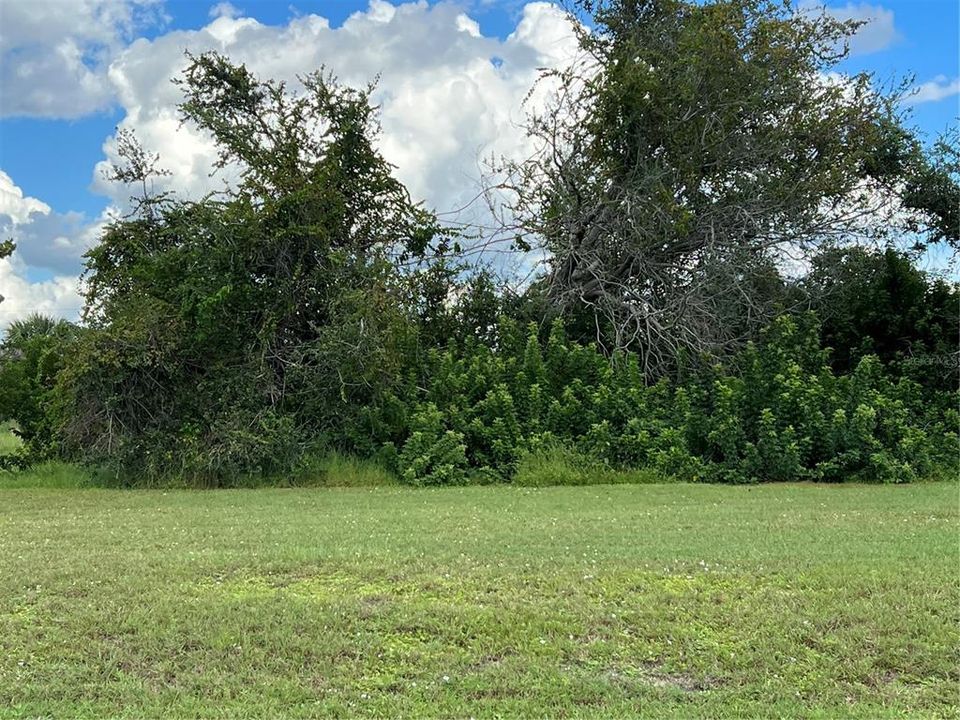 Active With Contract: $100,000 (0.23 acres)