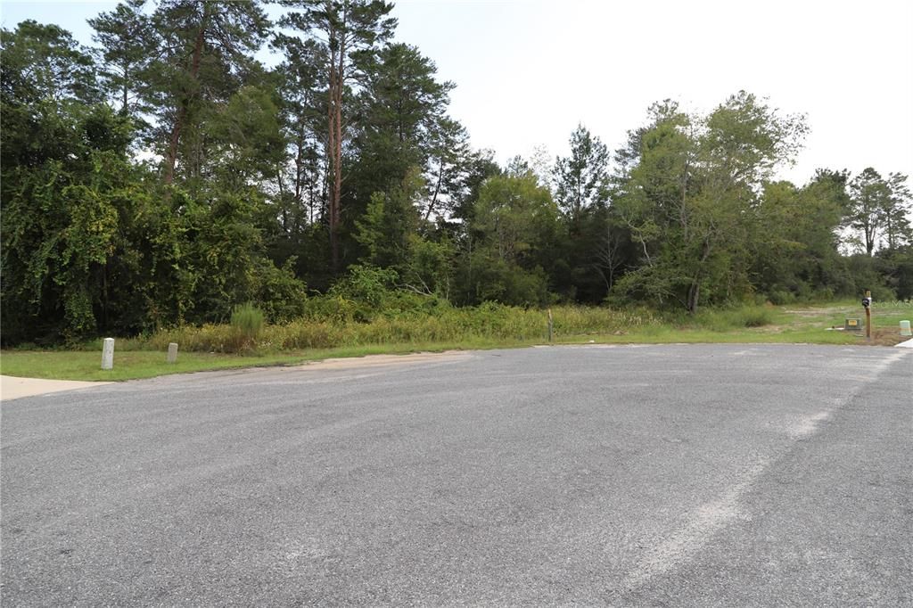 Recently Sold: $28,000 (0.55 acres)