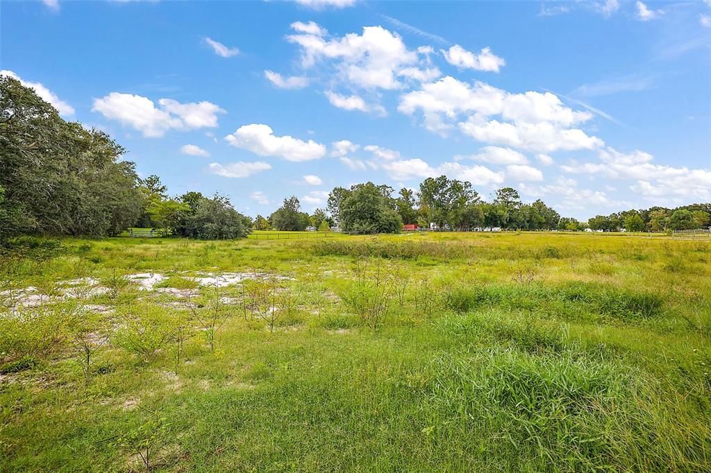 Front Acreage - in front of home and horse stalls.