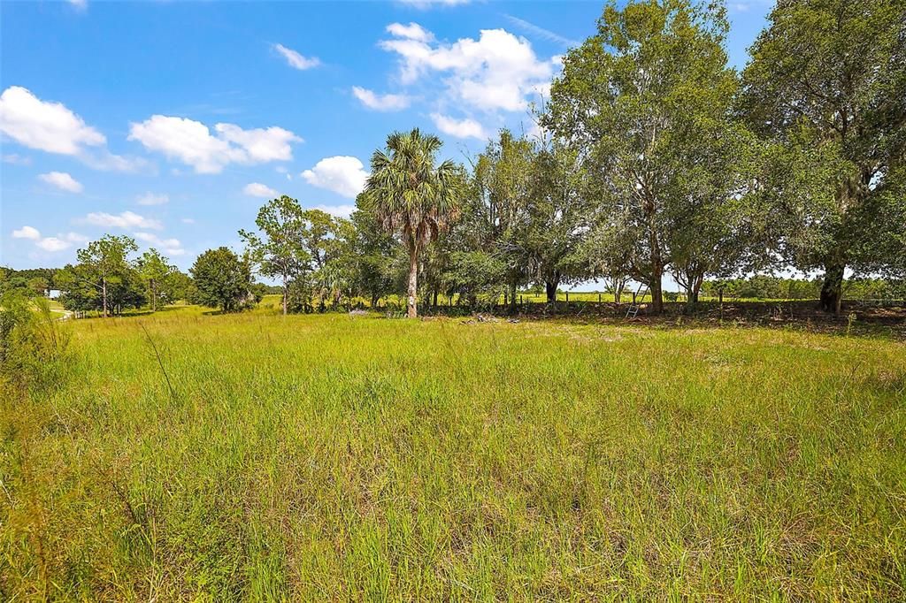 Acreage - again, high & dry - East side of the property.