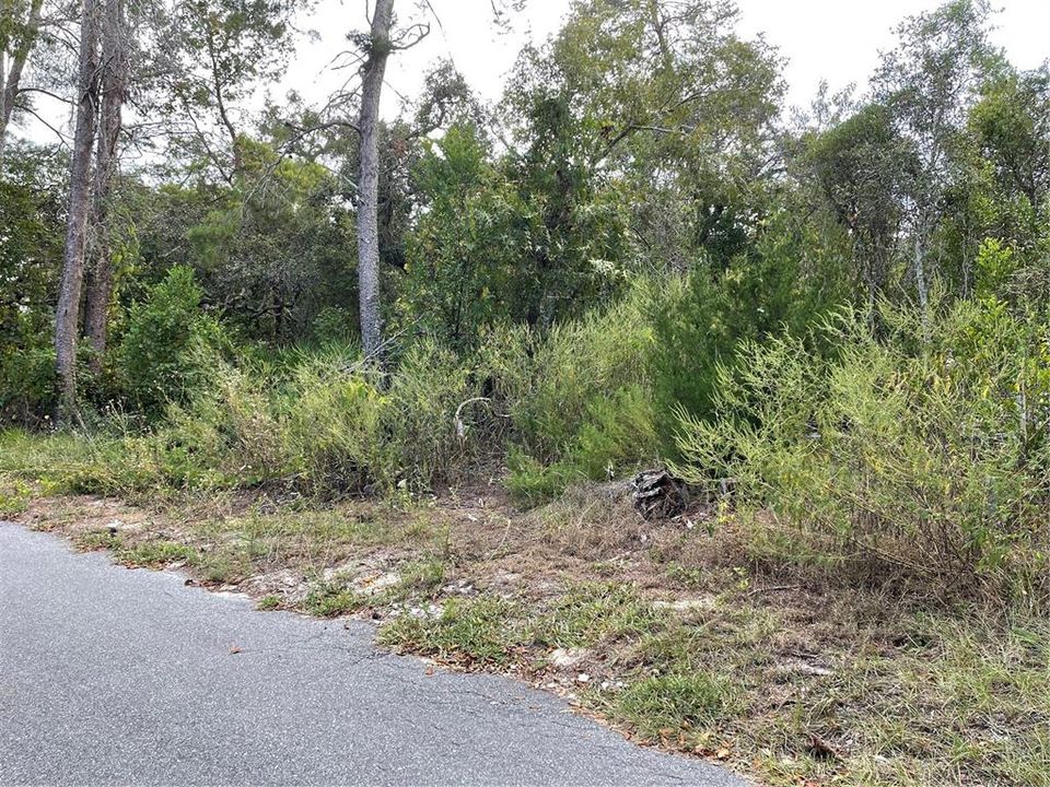 This is the East side of the property.