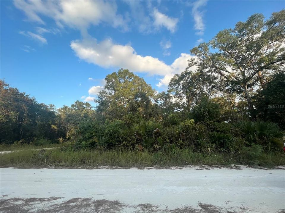 Vendido Recientemente: $15,900 (0.46 acres)