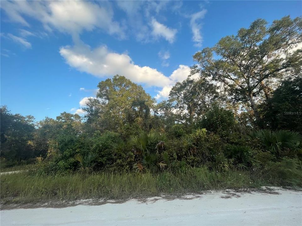 Vendido Recientemente: $15,900 (0.46 acres)