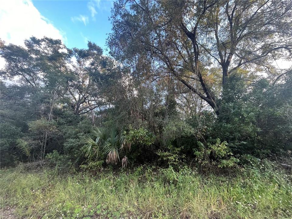 Vendido Recientemente: $15,900 (0.46 acres)