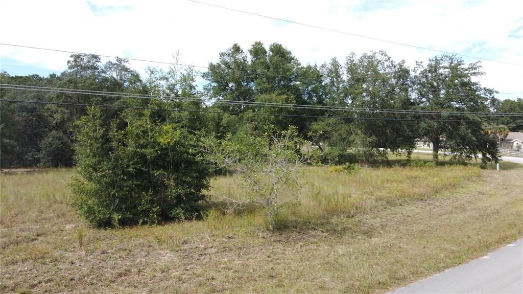 En Venta: $99,000 (1.48 acres)