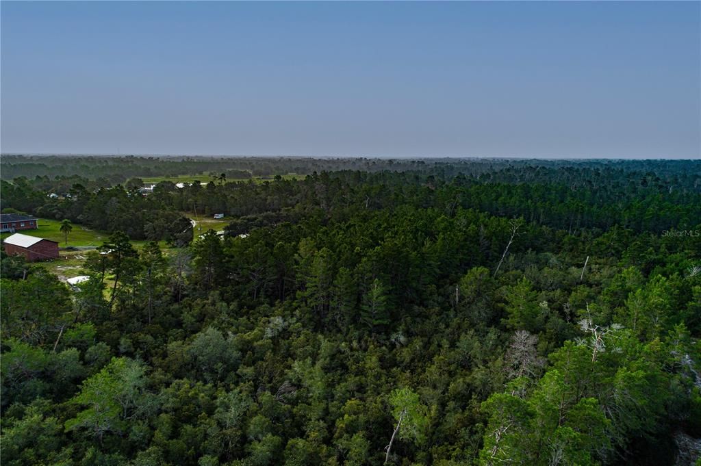 На продажу: $37,000 (1.42 acres)