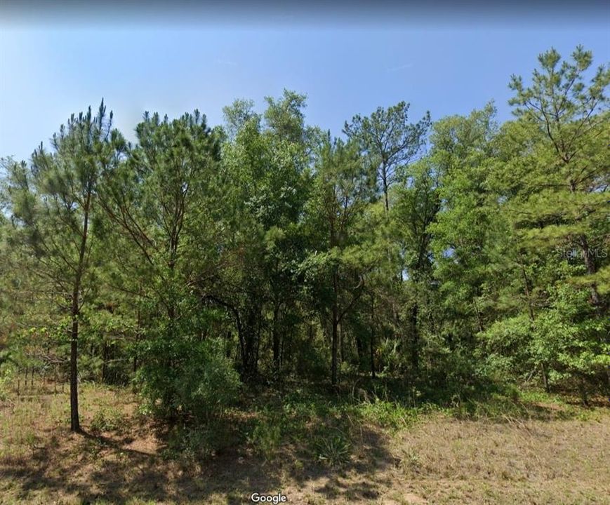 Недавно продано: $8,399 (0.34 acres)