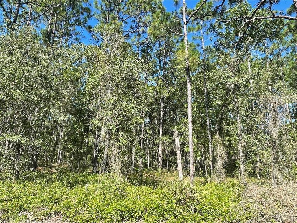 Недавно продано: $29,900 (0.27 acres)