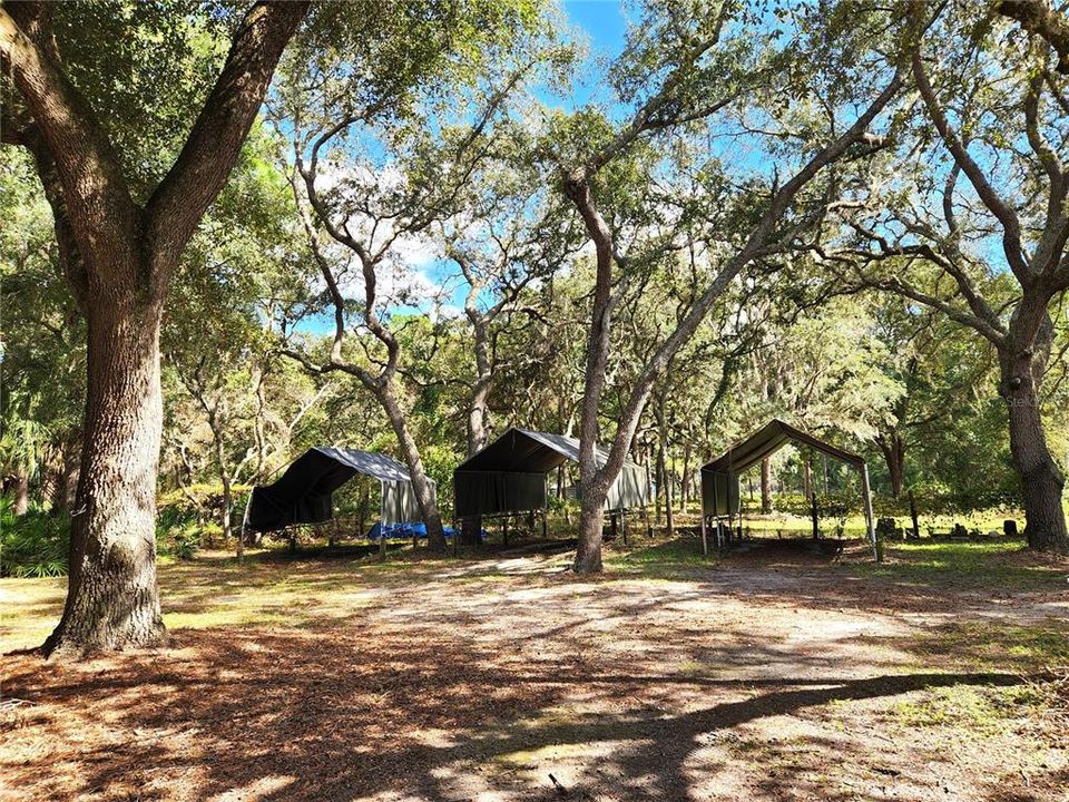 Canopy Carports