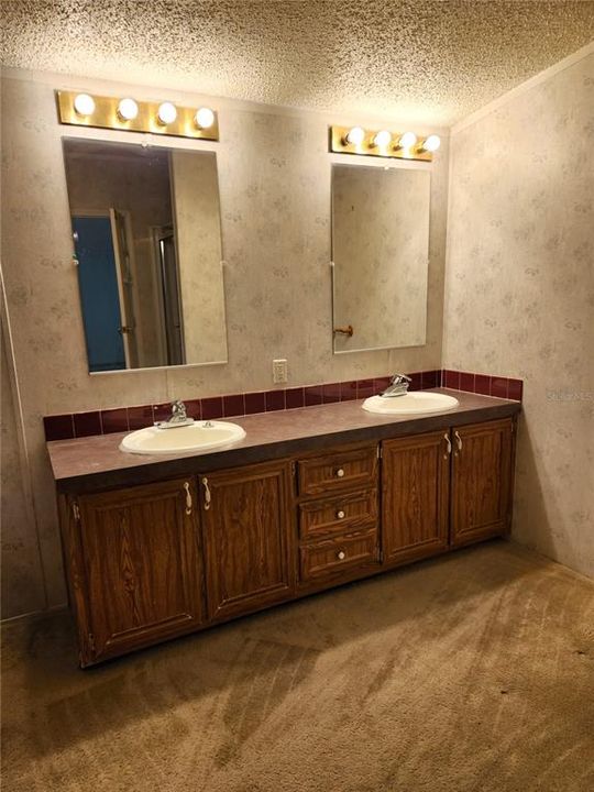 Double Sink Vanity