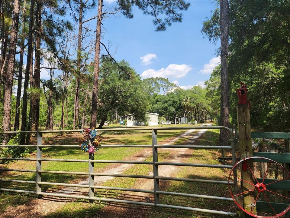 Gate at Yard