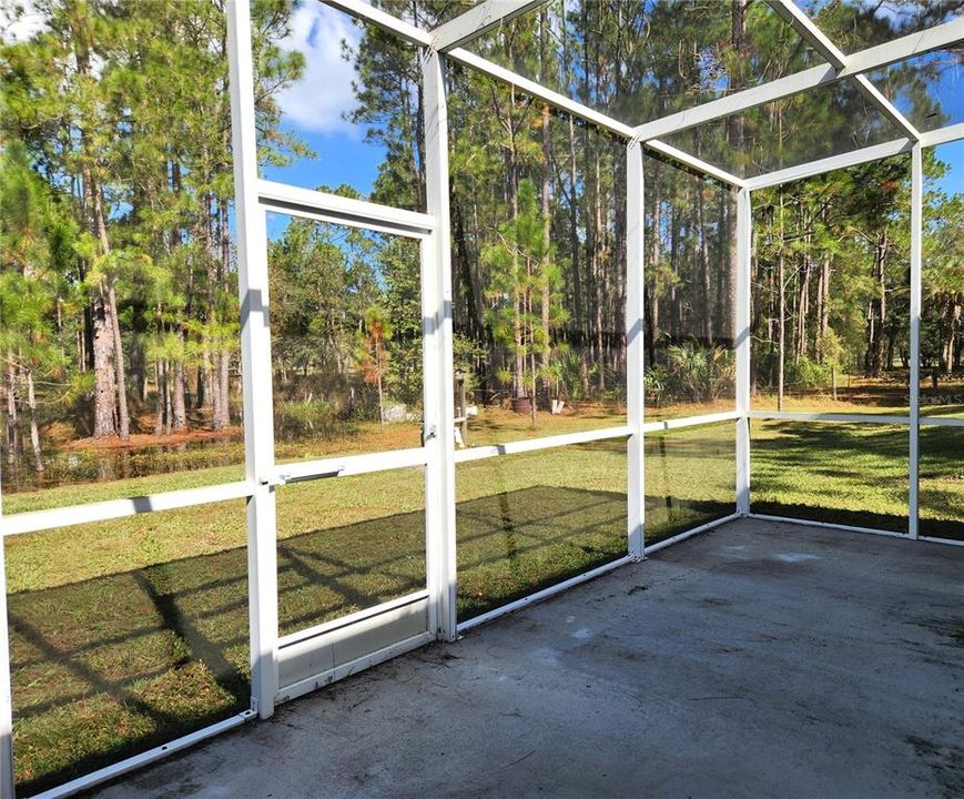 Screened Patio