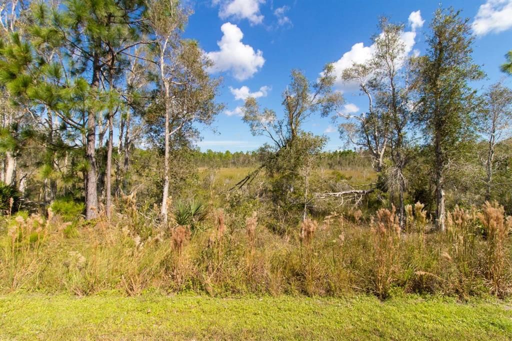 Recently Sold: $19,999 (2.50 acres)
