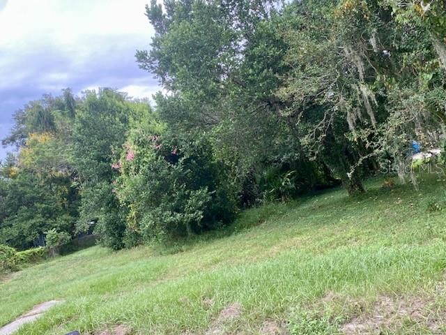 Recently Sold: $60,000 (0.31 acres)
