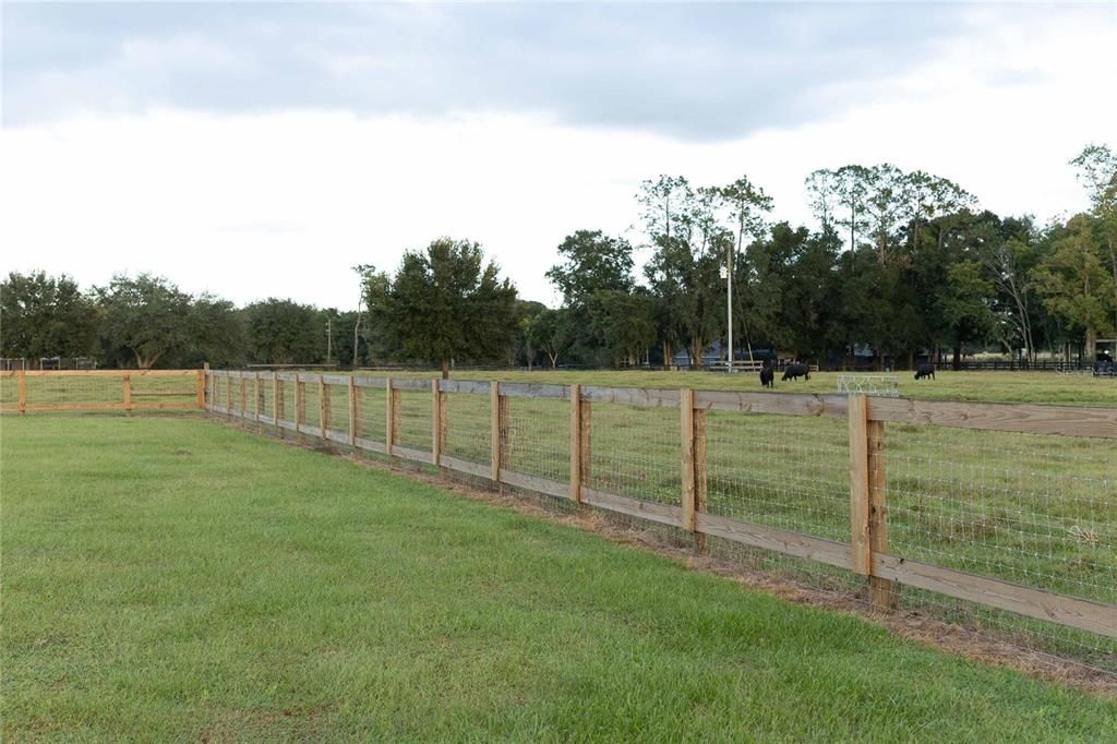 A fenced-in yard, providing a protected space for your beloved animals to roam freely