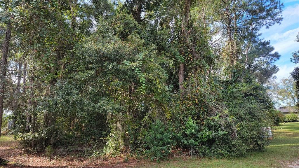 Recently Sold: $50,000 (1.62 acres)