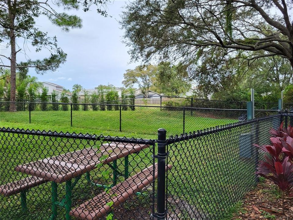 Community Dog Park