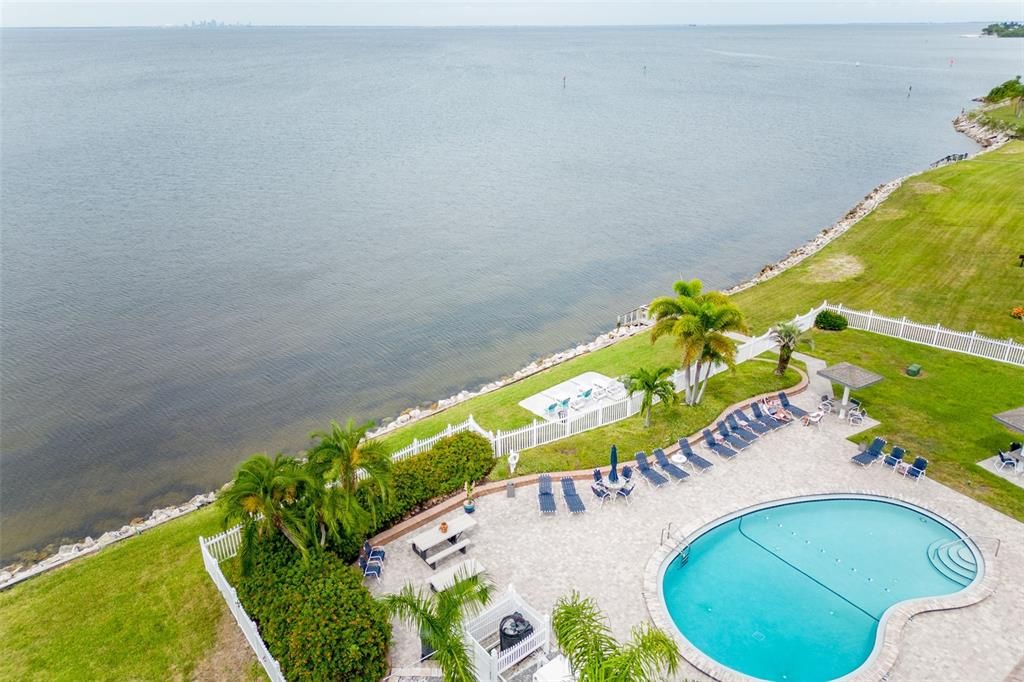 Aerial View of Community Pool and Tampa Bay