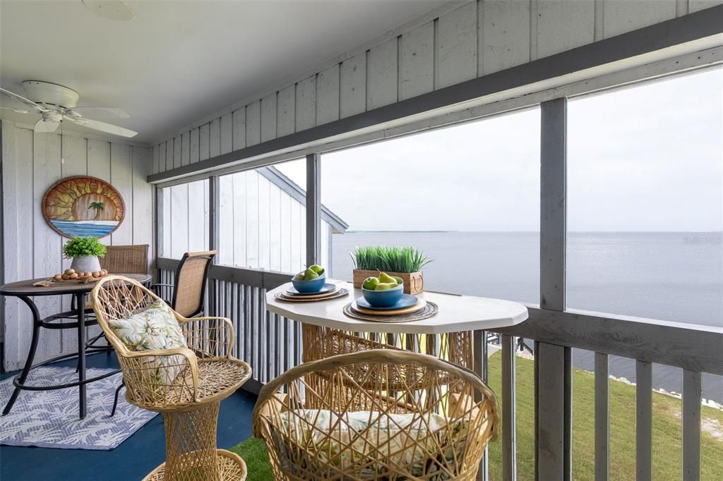 Screened Porch Overlooking Beautiful Tampa Bay