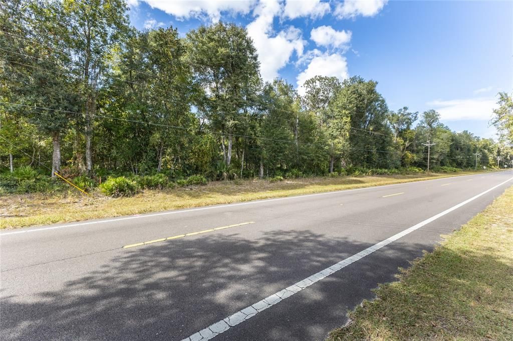 Survey marker on Left side of Property on Road