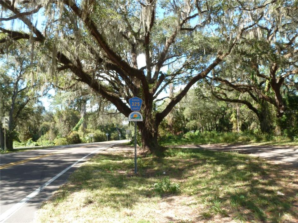 County Road 325 from Hwy 301