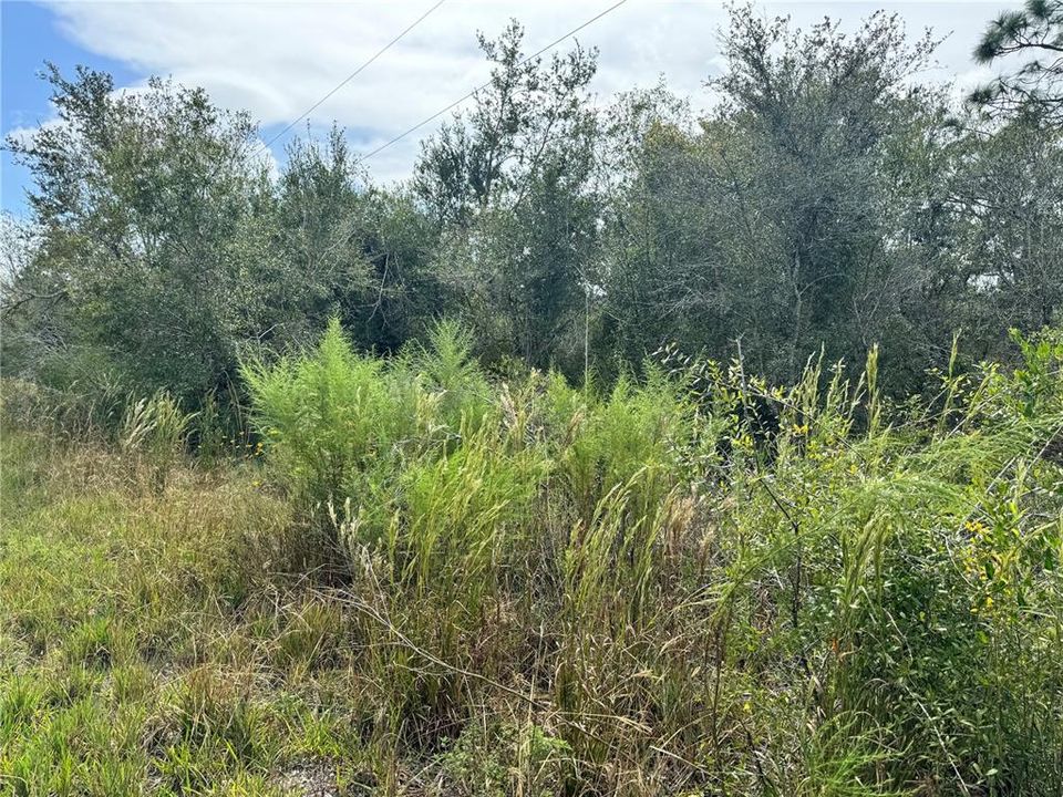 Vendido Recientemente: $59,000 (1.45 acres)