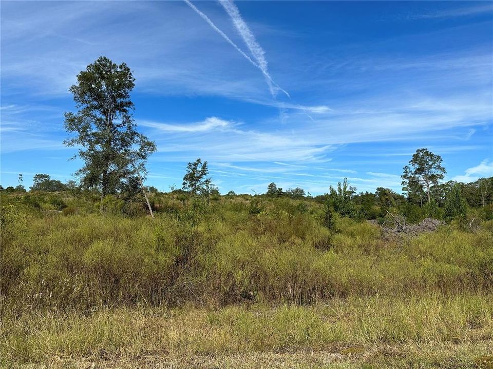 Recently Sold: $134,900 (9.85 acres)