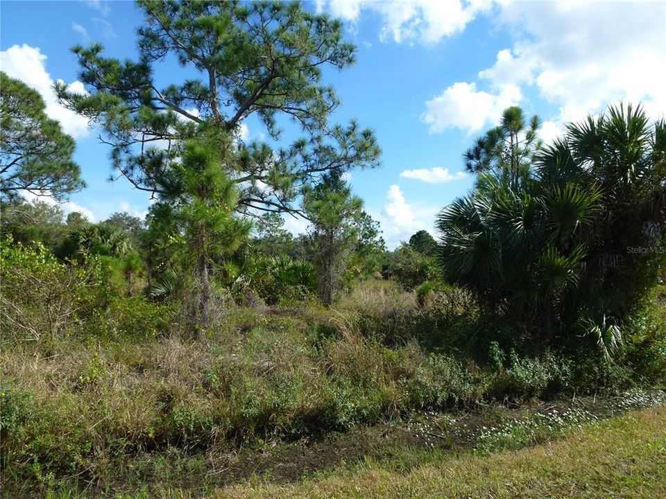 Active With Contract: $50,000 (1.25 acres)
