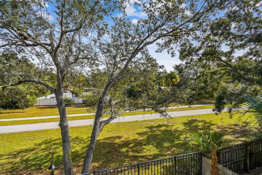 Peaceful view overlooking Pinellas Trail