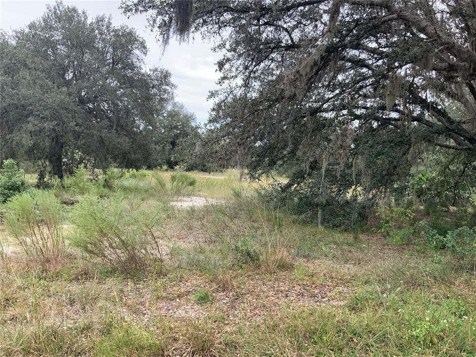 For Sale: $15,200 (0.24 acres)