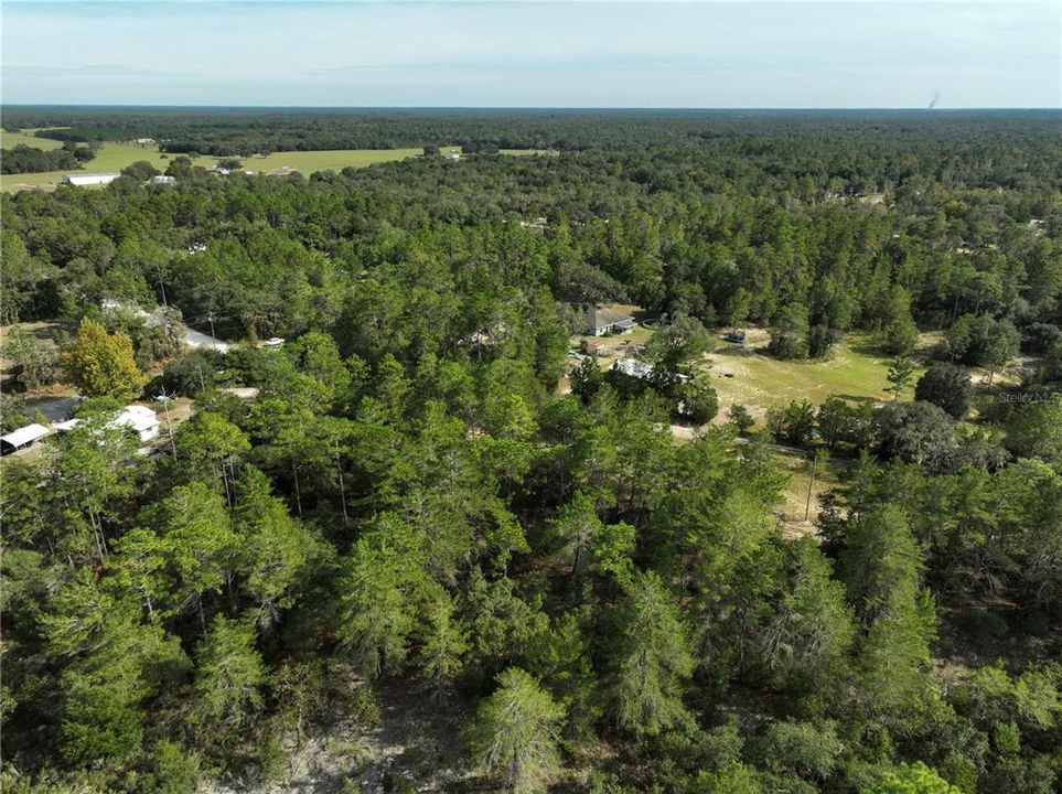 Недавно продано: $9,900 (1.25 acres)