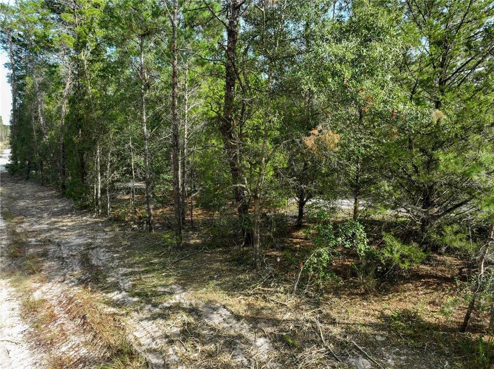 Recently Sold: $9,900 (1.25 acres)