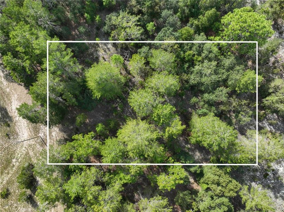 Recently Sold: $9,900 (1.25 acres)