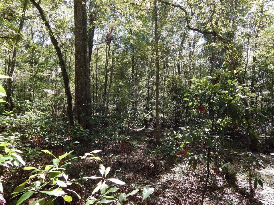 Recently Sold: $54,900 (3.24 acres)