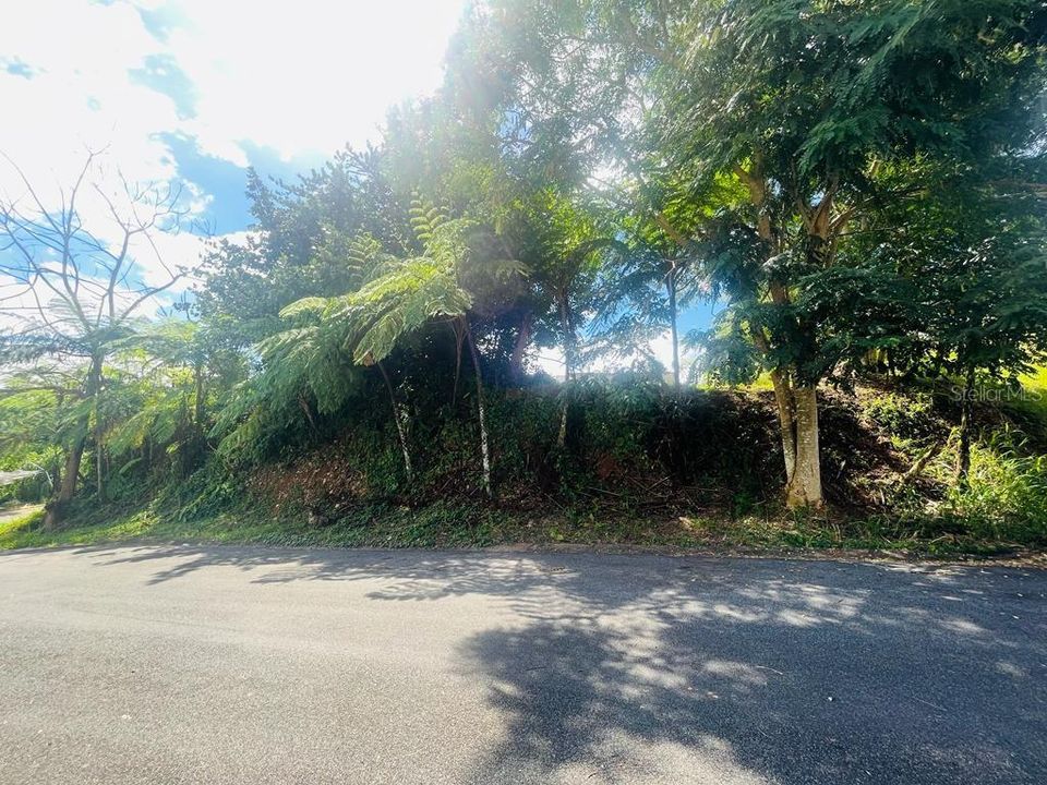 Vendido Recientemente: $55,000 (0.23 acres)