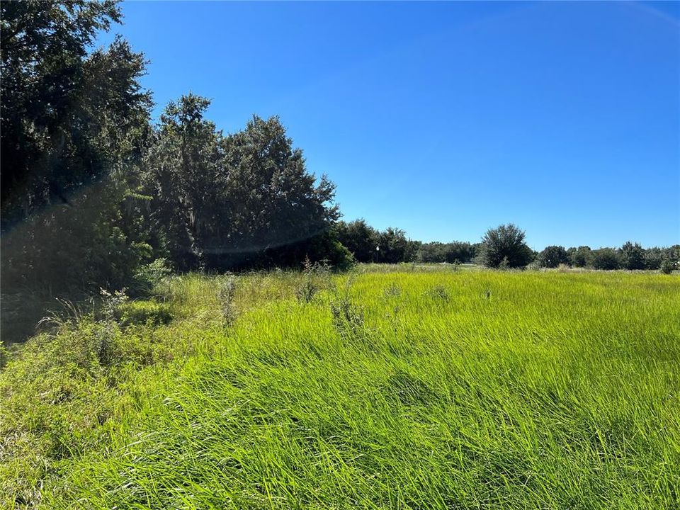 For Sale: $40,000 (0.38 acres)
