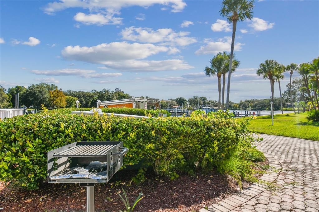 Grilling and picnic area next to one of the pools