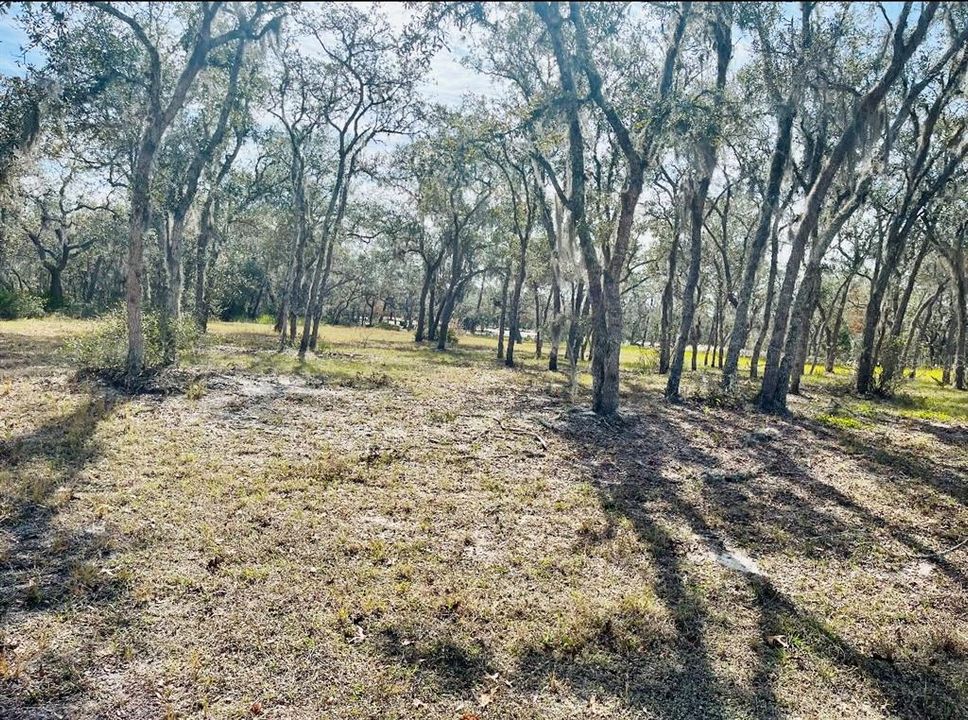 For Sale: $59,000 (1.00 acres)