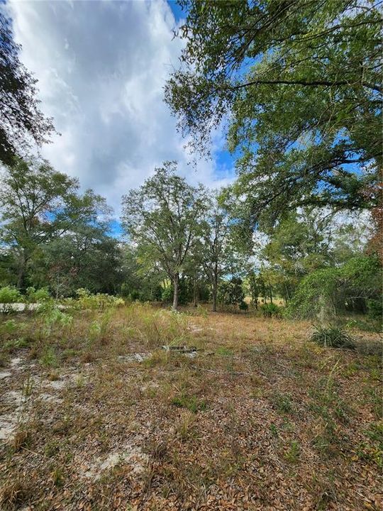 Recently Sold: $110,000 (5.75 acres)