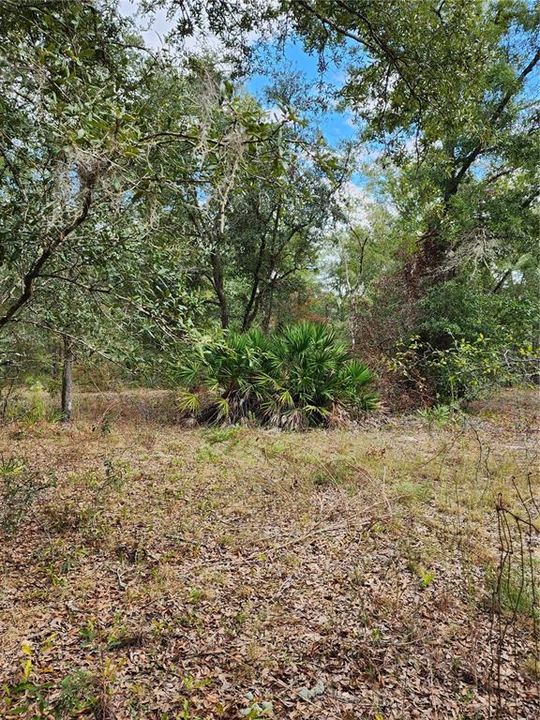 Recently Sold: $110,000 (5.75 acres)
