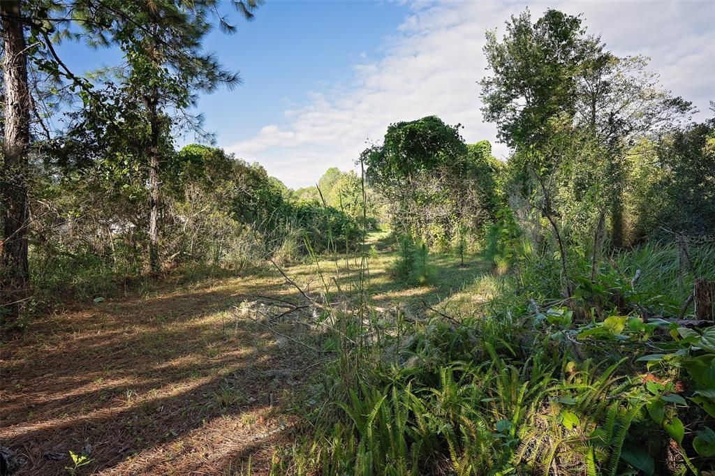 Recently Sold: $88,000 (1.35 acres)
