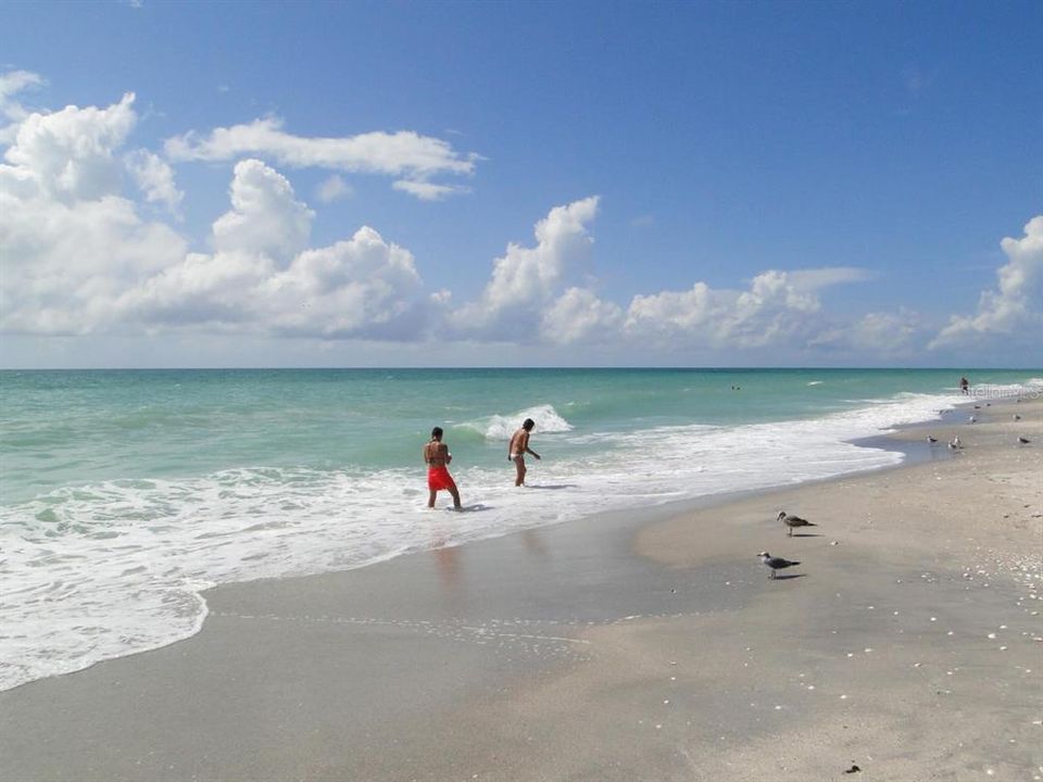 Englewood Beach