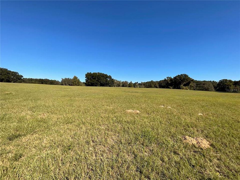 For Sale: $575,000 (10.00 acres)