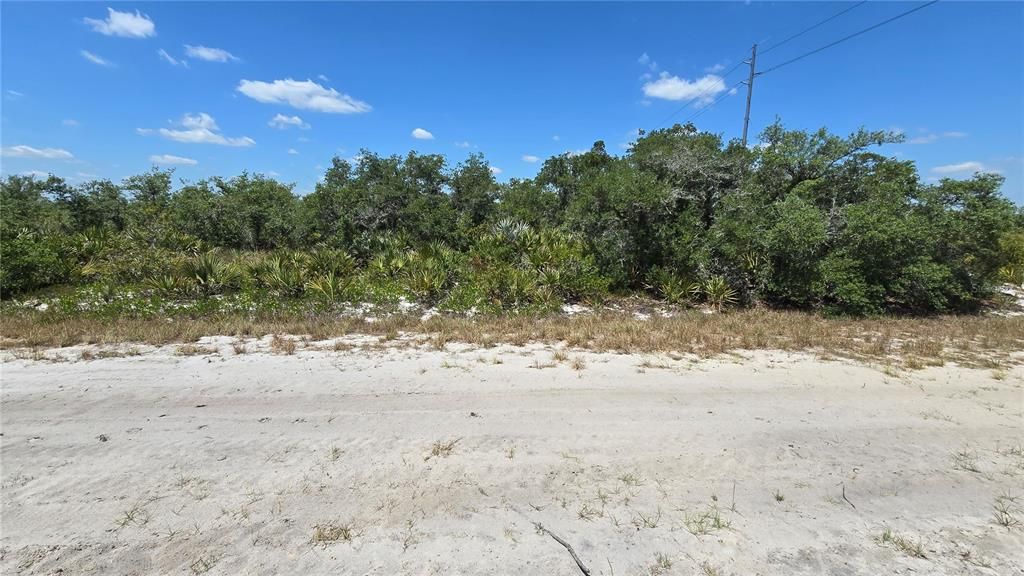 For Sale: $19,995 (1.14 acres)