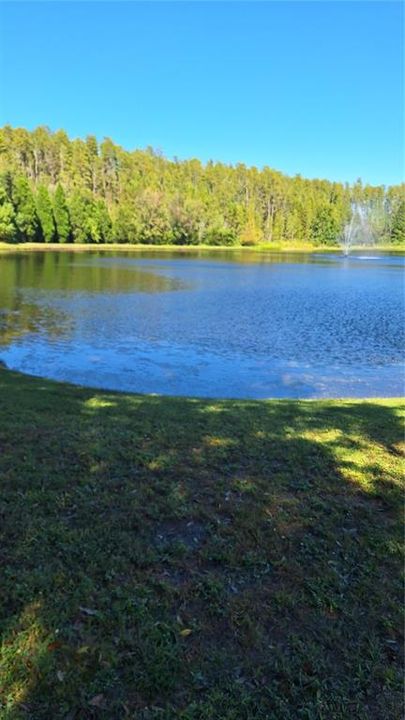 Part of your 7.13 Acres backs to this Lovely Lake with Fountain!