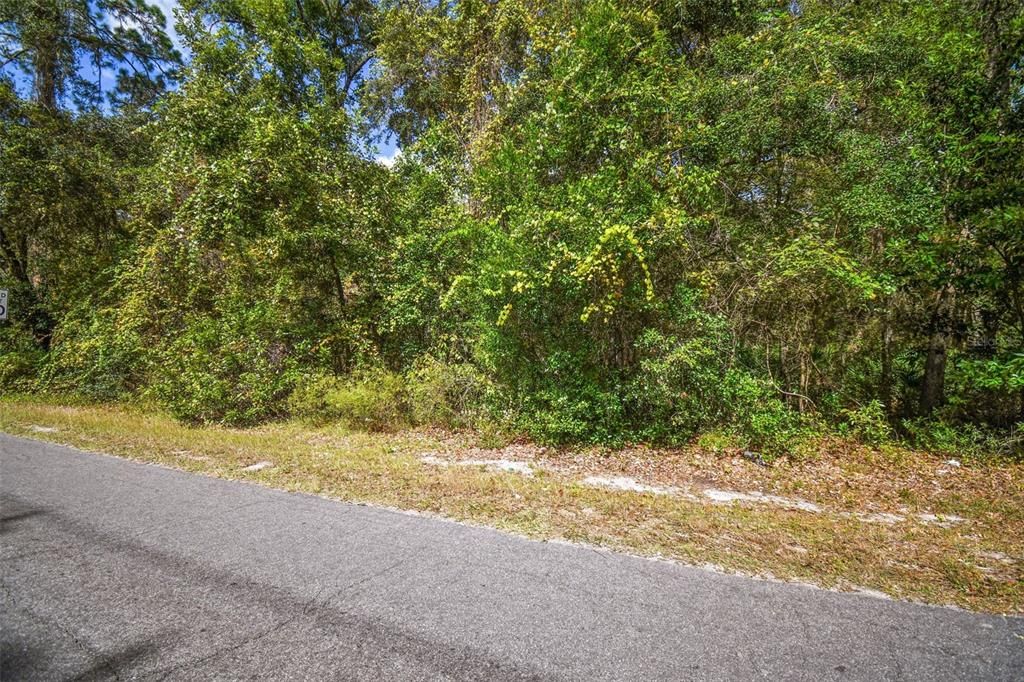 Active With Contract: $29,900 (1.25 acres)