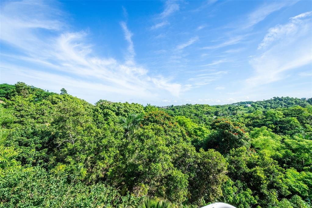 Panoramic view from balcony